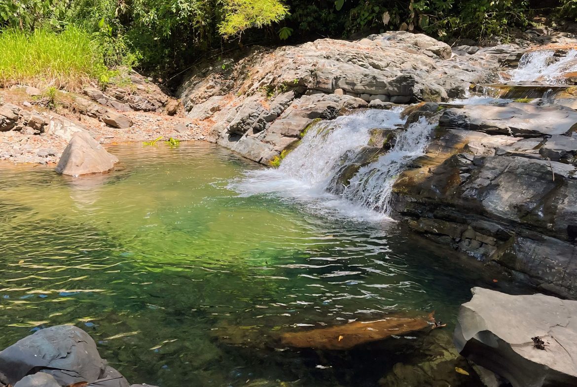 JUNGLE DREAMS FARM: WHERE NATURE MEETS SERENITY – 20 ACRES